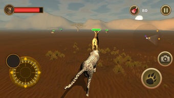 Image 0 for Cheetah Chase Simulator