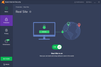 Image 0 for Avast Internet Security
