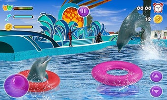 Image 2 for Dolphin Show My Dolphin G…