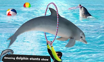 Image 2 for Dolphin Show My Dolphin G…