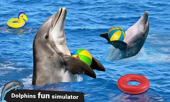 Image 0 for Dolphin Show My Dolphin G…