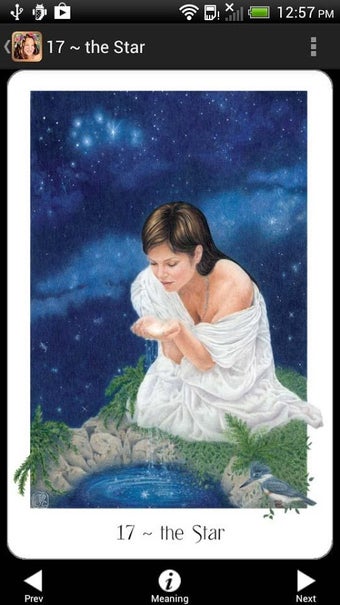 Image 3 for Gaian Tarot
