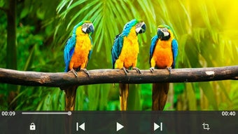 Imagen 0 para Full HD Video Player
