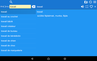 Image 0 for French Hungarian Dictiona…