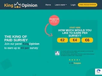 Image 0 for KingOpinionPaid Survey Re…