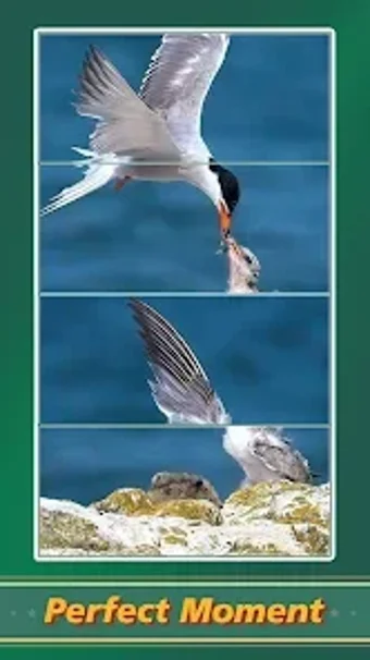 Image 0 for Jigsaw Puzzle Art: Relax …