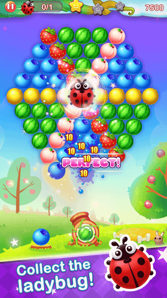 Image 0 for Fruit Bubble