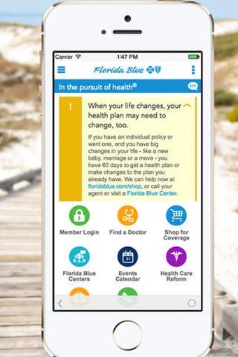 Image 0 for Florida Blue