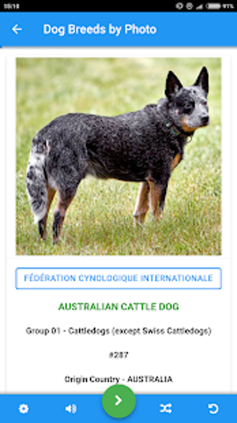 Imagen 1 para Dog Breeds Recognized by …