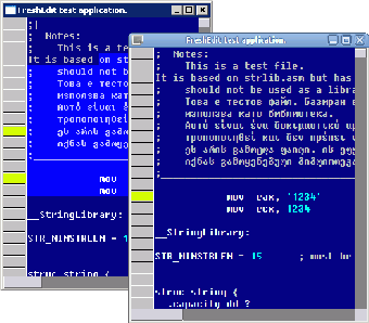 Image 1 for Fresh IDE Portable