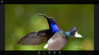 Image 1 for Web Image Viewer for Wind…