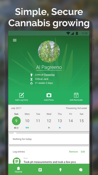 Image 2 for Jane - Cannabis plants gr…