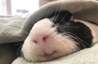 Image 0 for Kokebok for MORDHAU