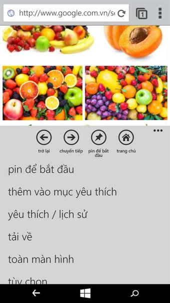 Image 0 for Plus Browser for Windows …
