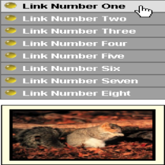 Image 0 for Link Show (Images)