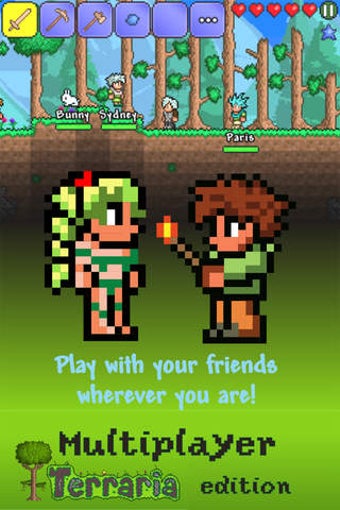 Image 0 for Multiplayer Terraria edit…