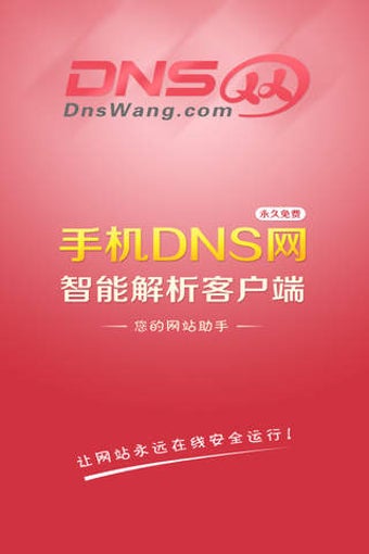 Image 0 for DNS(dnswang)-DNS!