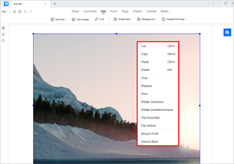 Imagen 2 para EaseUS PDF Editor