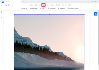 Imagen 1 para EaseUS PDF Editor