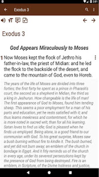 Imagen 3 para KJV Commentary Bible