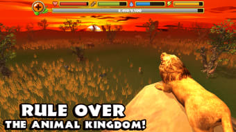 Image 0 for Safari Simulator: Lion