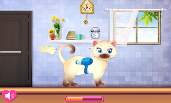 Image 2 for Kitty Grooming Salon