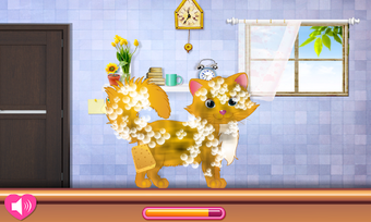 Image 1 for Kitty Grooming Salon