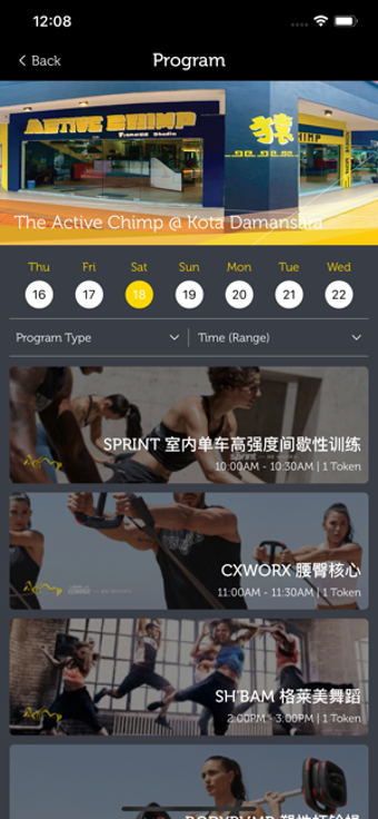 Image 2 for The Active Chimp