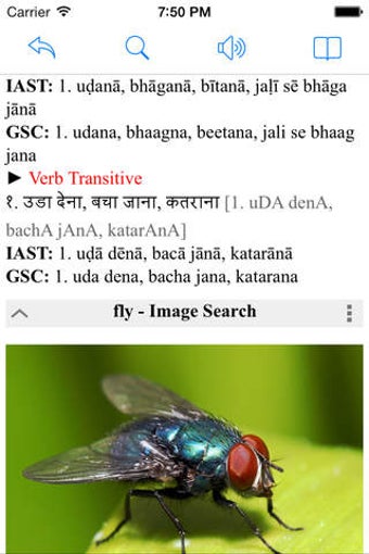 Image 0 for Hindi English Dictionary …
