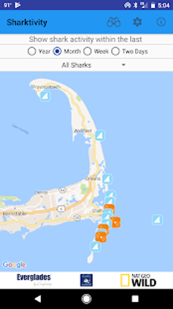 Image 1 for Sharktivity - White Shark…
