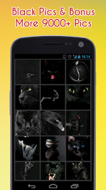 Image 1 for Black Wallpaper