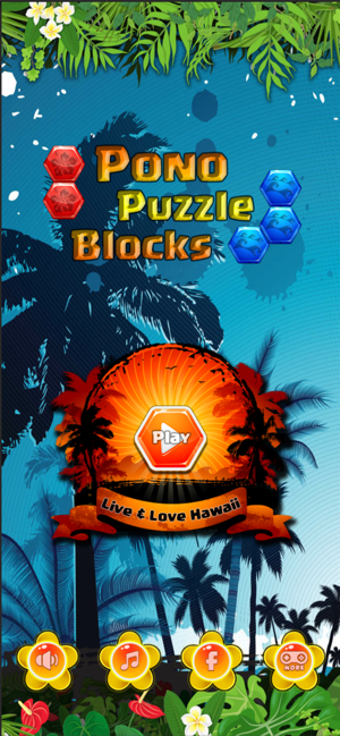 Image 2 for Pono Puzzle Blocks