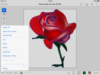 Image 0 for Professional Vector Edito…