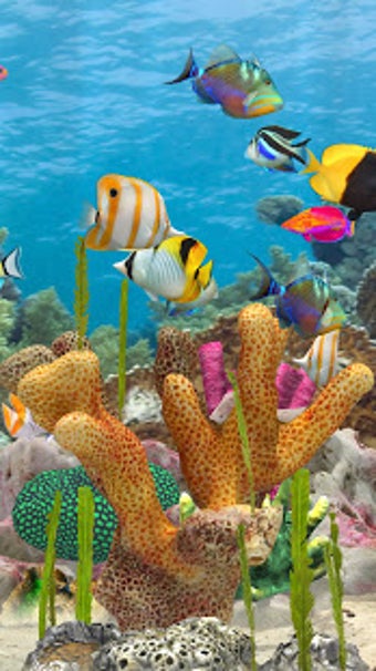 Image 0 for Fish Farm Merge