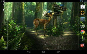 Imagen 0 para Forest HD