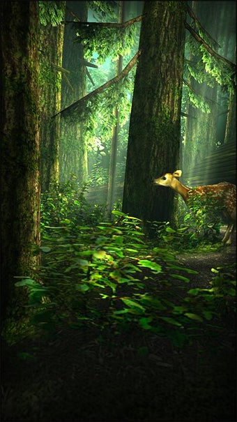 Imagen 1 para Forest HD