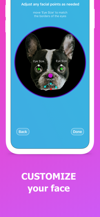 Image 1 for FaceReplaced - AR Filter …