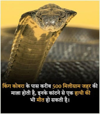 Image 1 for | Rochak Tathya - Unknown…