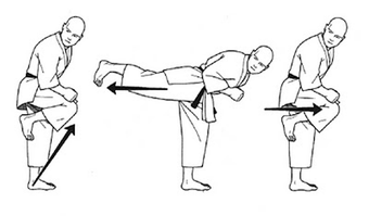Image 2 for Learn Kung Fu