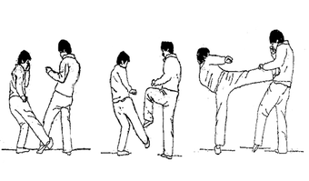 Image 0 for Learn Kung Fu