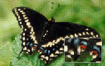 Image 0 for Animosaix