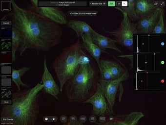 Image 1 for ECHO Lite