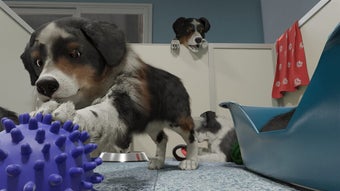 Image 0 for Dog Trainer