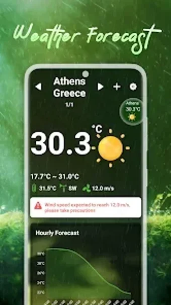 Imagen 0 para The Wise Weather