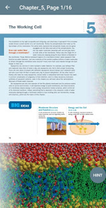 Imagen 0 para CAMPBELL BIOLOGY - CONCEP…