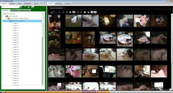 Image 7 for ES Imaging Client