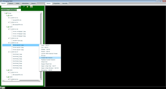 Image 10 for ES Imaging Client