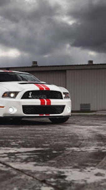 Image 2 for Muscle Car Wallpapers
