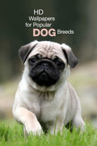 Imagen 0 para Popular Dog Breeds HD Wal…
