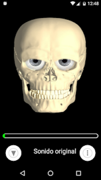 Imagen 0 para Voice Repeater